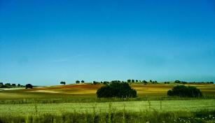 Locales swinger en Albacete