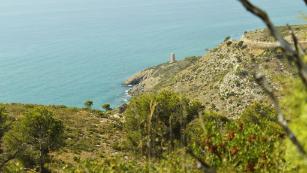 Locales swinger en Castellón