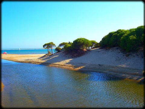 Locales swinger en Huelva