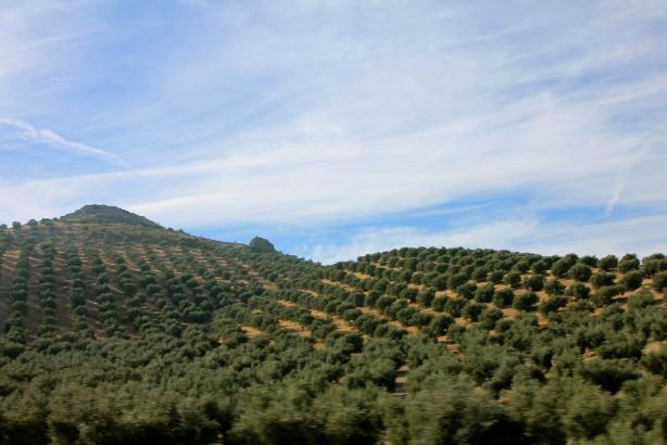Locales swinger en Jaén