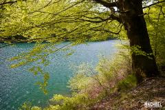 Locales swinger en Navarra