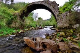 Locales swinger en Ourense